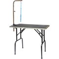 Go Pet Club Dog Grooming Table with Arm, 30-in