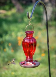 Perky-Pet Daisy Vase Vintage Glass Hummingbird Feeder, Red slide 2 of 6