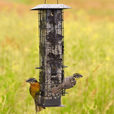 Show full view: Perky-Pet Squirrel-Be-Gone Wild Bird Feeder, Brown slide 2 of 11