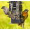 Show in main carousel: Perky-Pet Squirrel-Be-Gone Wild Bird Feeder, Brown slide 6 of 11