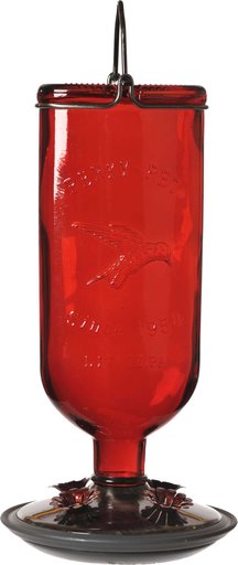 Perky-Pet Antique Bottle Hummingbird Feeder, Red