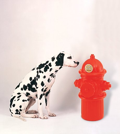 ht-pet Plastic Fire Hydrant Storage Container, 24-in
