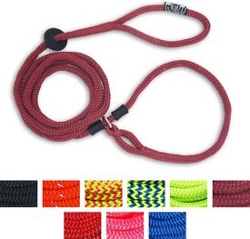 chewy harness lead