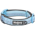 Blueberry Pet 3M Spring Pastel Polyester Reflective Dog Collar, Misty Blue, Small: 12 to 16-in neck, 5/8-in wide