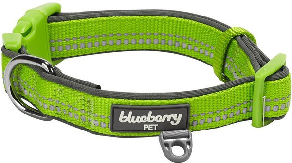 Blueberry Pet 3M Spring Pastel Polyester Reflective Dog Collar, Pastel Green, Small: 12 to 16-in neck, 5/8-in wide slide 1 of 7