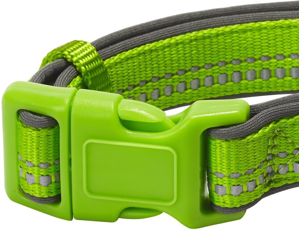 BLUEBERRY PET 3M Spring Pastel Polyester Reflective Dog Collar, Pastel Green, Small 12 to 16in