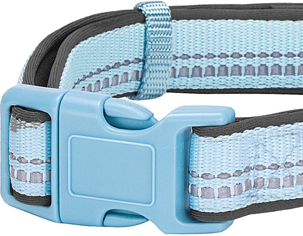 Pastel blue cheap dog collar