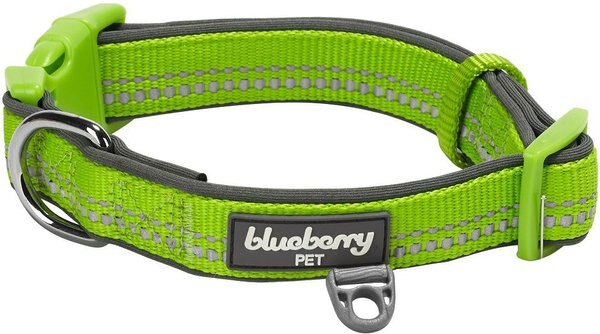 Blueberry Pet 3M Spring Pastel Polyester Reflective Dog Collar, Pastel Green, Medium: 14.5 to 20-in neck, 3/4-in wide slide 1 of 7