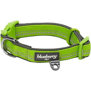 Blueberry Pet 3M Spring Pastel Polyester Reflective Dog Collar, Pastel Green, Medium: 14.5 to 20-in neck, 3/4-in wide