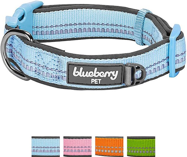 Blueberry Pet 3M Spring Pastel Polyester Reflective Dog Collar, Misty Blue, Large: 18 to 26-in neck, 1-in wide slide 1 of 7