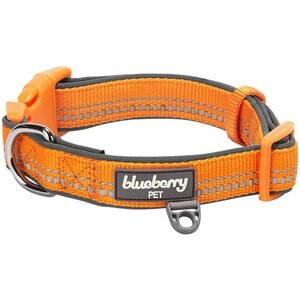 Blueberry Pet 3M Spring Pastel Polyester Reflective Dog Collar, Pastel Orange, Large: 18 to 26-in neck, 1-in wide