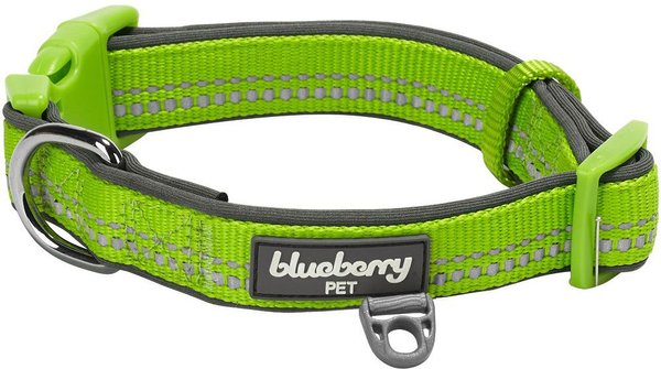 Blueberry Pet 3M Spring Pastel Polyester Reflective Dog Collar, Pastel Green, Large: 18 to 26-in neck, 1-in wide slide 1 of 7
