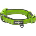 Blueberry Pet 3M Spring Pastel Polyester Reflective Dog Collar, Pastel Green, Large: 18 to 26-in neck, 1-in wide