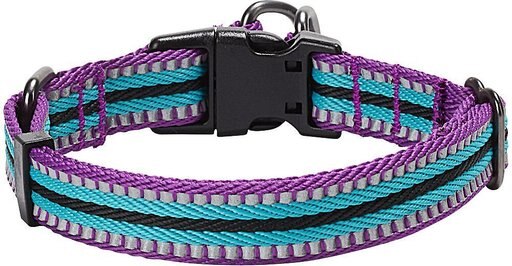 Blueberry Pet 3M Multi-Colored Stripe Polyester Reflective Dog Collar, Violet & Celeste, Medium: 14.5 to 20-in neck, 3/4-in wide