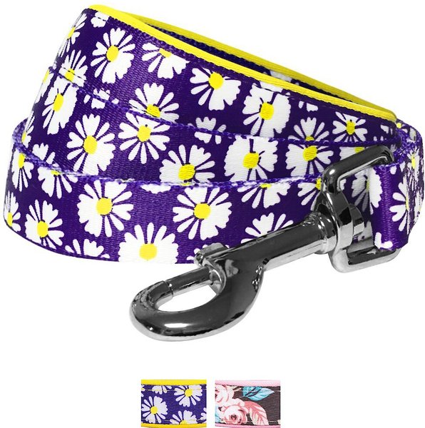 Blueberry Pet Floral Prints Polyester Dog Leash, Daisy, Medium: 5-ft long, 3/4-in wide slide 1 of 6
