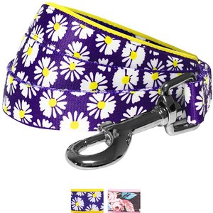 Blueberry Pet Floral Prints Polyester Dog Leash, Daisy, Large: 4-ft long, 1-in wide