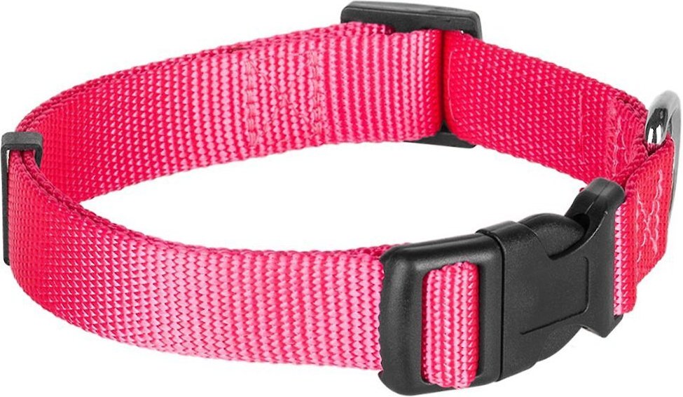 BLUEBERRY PET Classic Solid Nylon Dog Collar, French Pink, Large