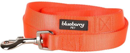 Show full view: Blueberry Pet Classic Solid Nylon Dog Leash, Florence Orange, Medium: 5-ft long, 3/4-in wide slide 2 of 6