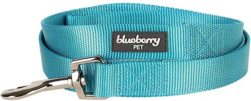 Show full view: Blueberry Pet Classic Solid Nylon Dog Leash, Turquoise, Medium: 5-ft long, 3/4-in wide slide 2 of 6