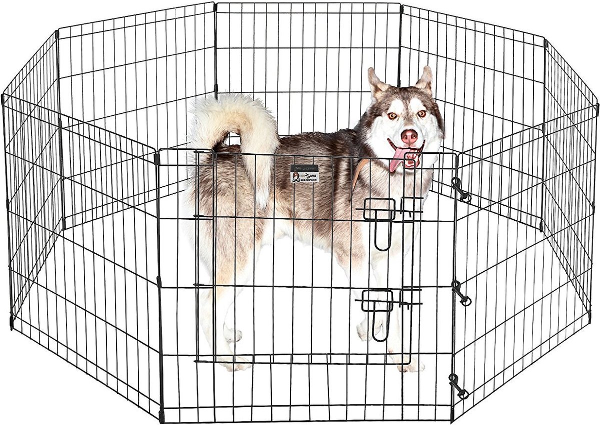 PET TREX High Panel Wire Exercise Pen with Gate, Small
