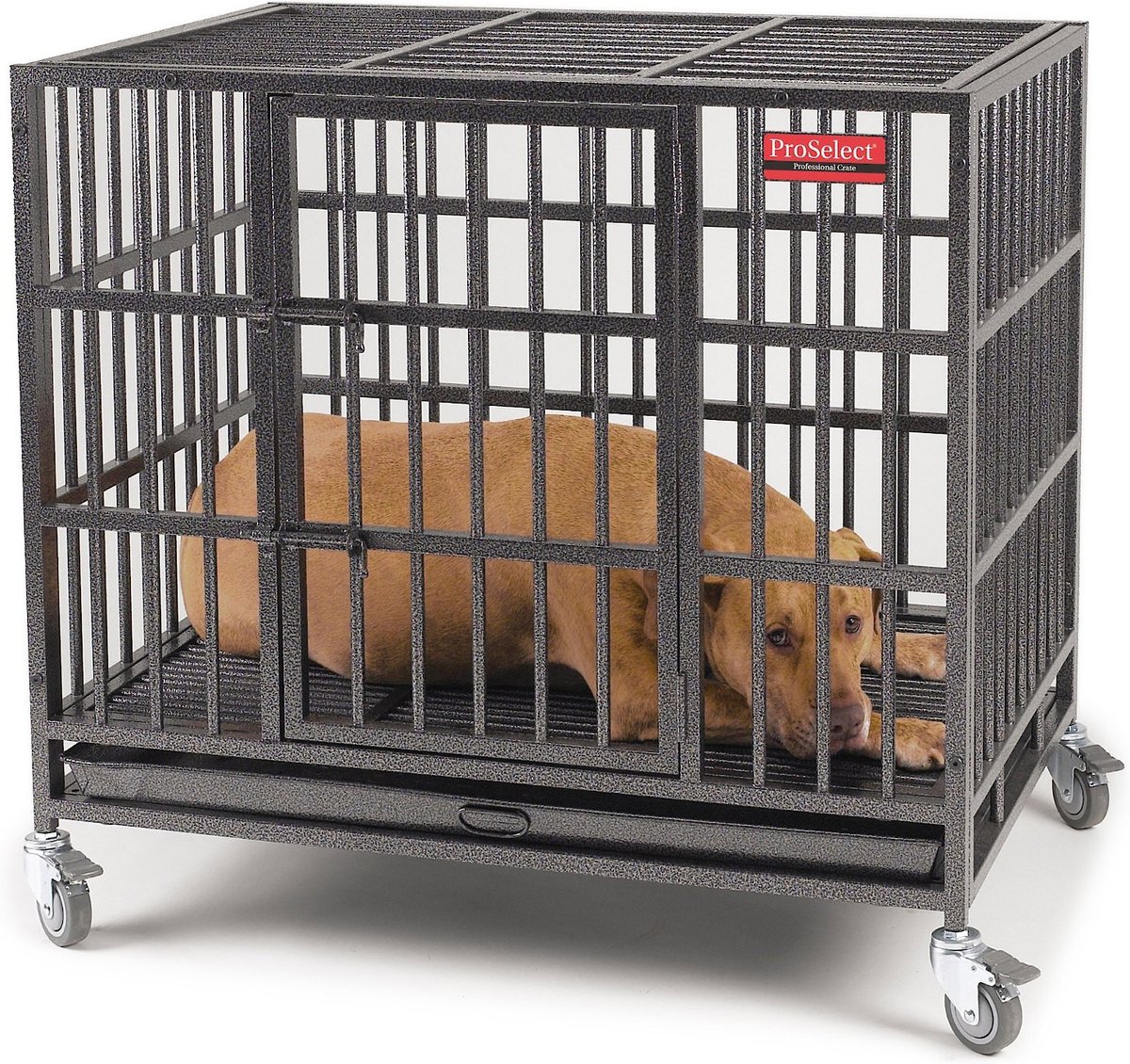 ProSelect Empire Single Door Steel Dog Crate