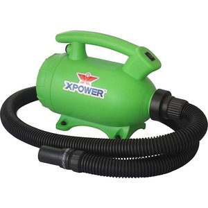 XPOWER B-2 "Pro-At-Home" Pet Dryer & Vacuum, Green