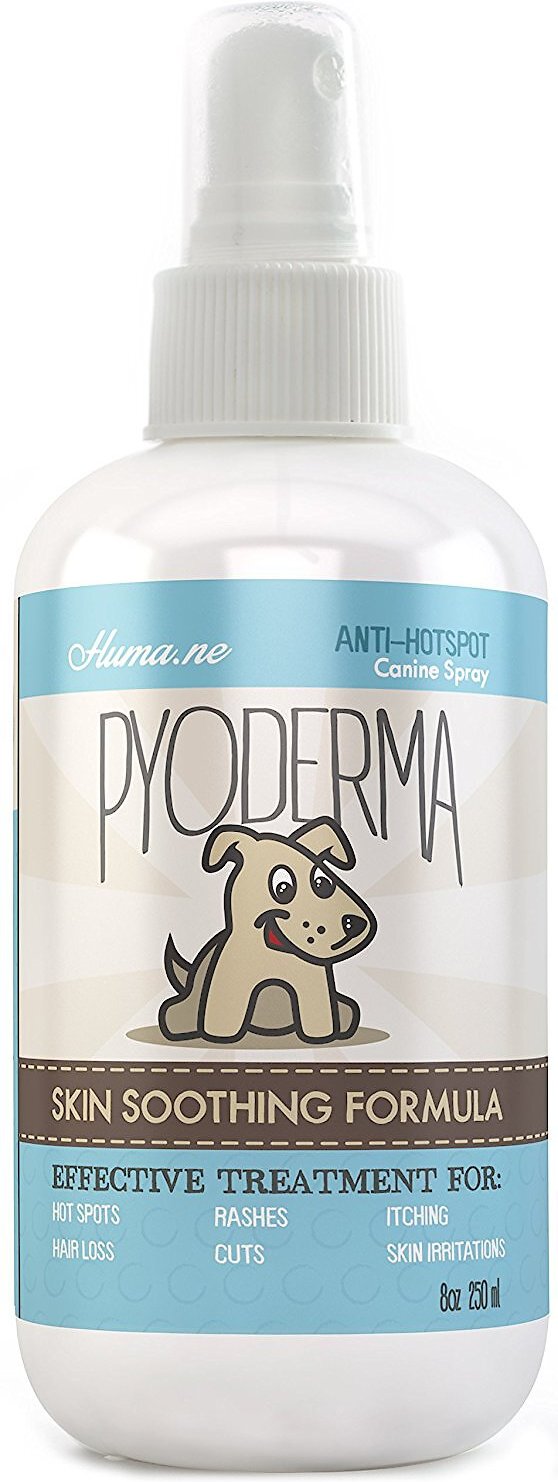 How Do You Treat Pyoderma In Dogs Naturally