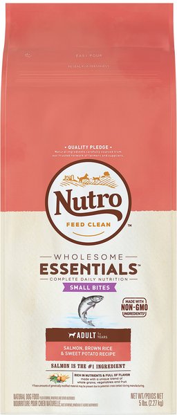 Nutro Wholesome Essentials Small Bites Adult Salmon Brown Rice Sweet Potato Recipe Dry Dog Food