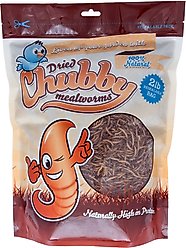 Chubby Mealworms Dried Mealworms, 2-lb bag
