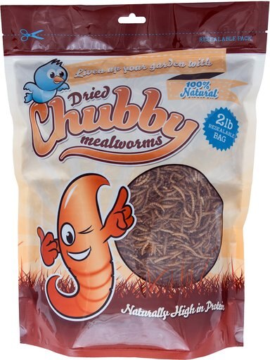 Chubby Mealworms Dried Mealworms, 2-lb bag