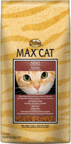 nutro max cat