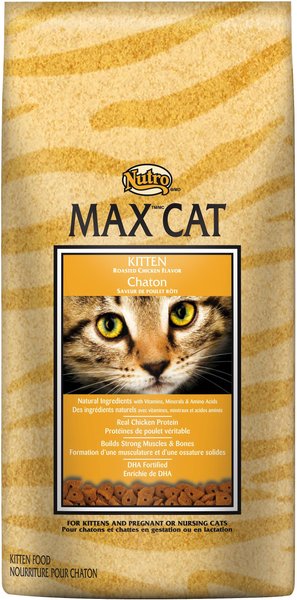 NUTRO Max Kitten Roasted Chicken Flavor Dry Cat Food 3 lb bag