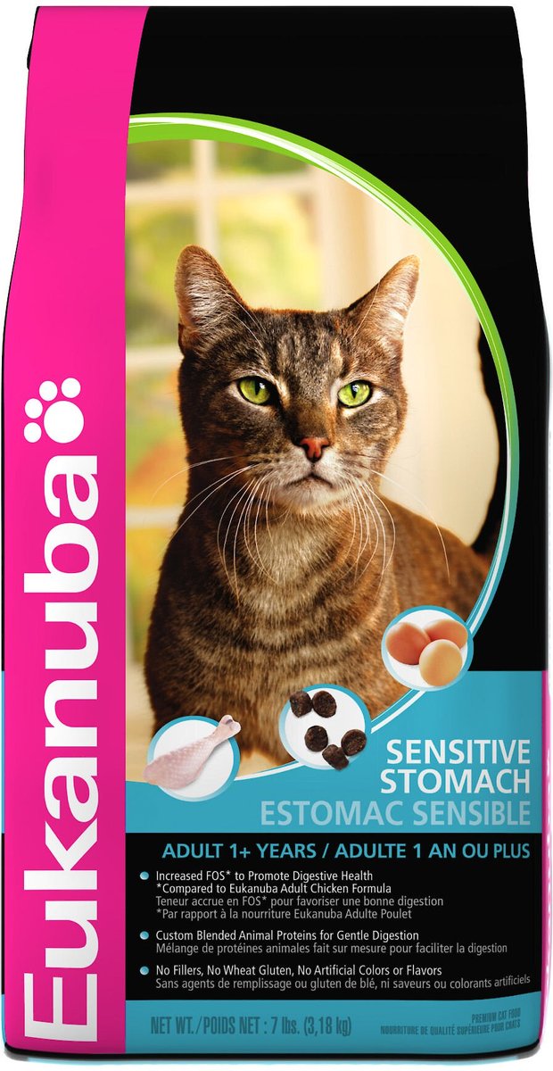 eukanuba intestinal cat food