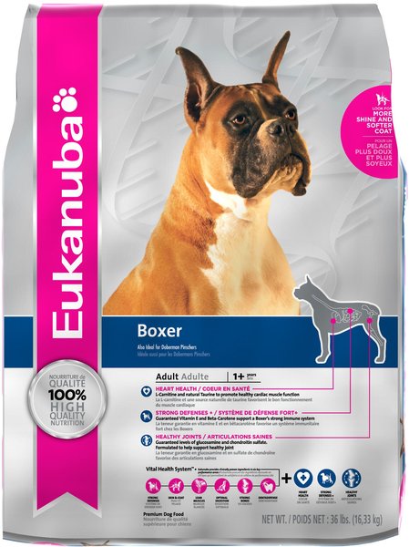 Eukanuba boxer puppy best sale