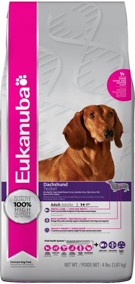 eukanuba breed specific dachshund