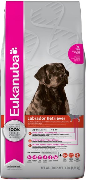 eukanuba labrador