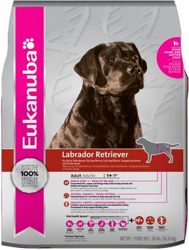 eukanuba dog food labrador