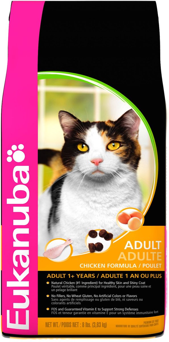 eukanuba cat food