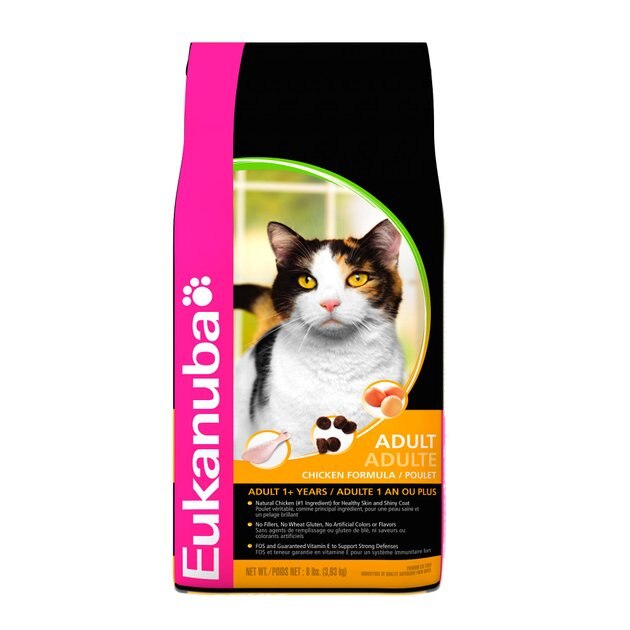 eukanuba adult cat