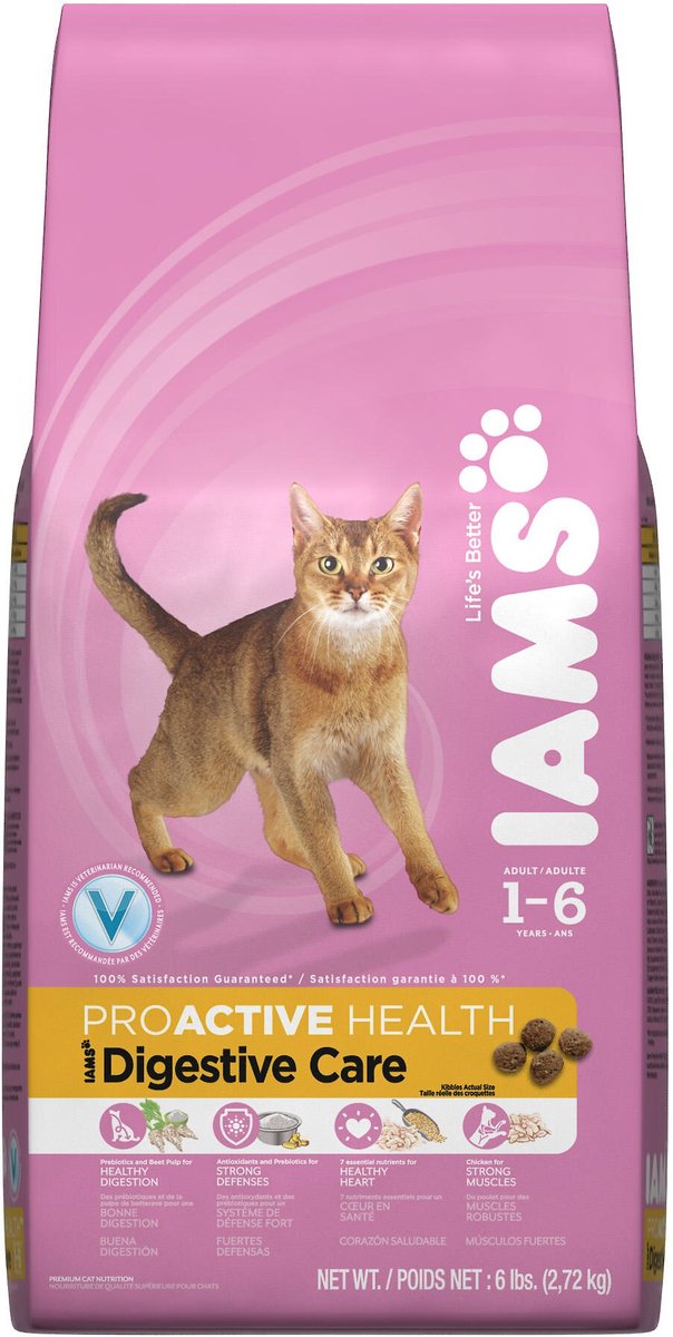 Iams digestive care cat food outlet discontinued