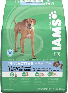 IAMS Proactive Health Large Breed Adult with Real Chicken Dry Dog