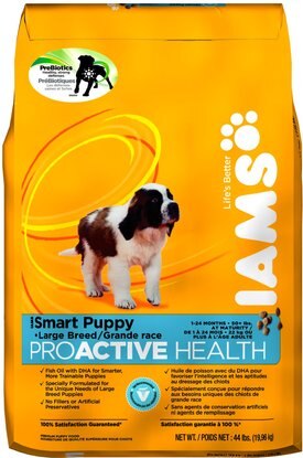 chewy iams puppy