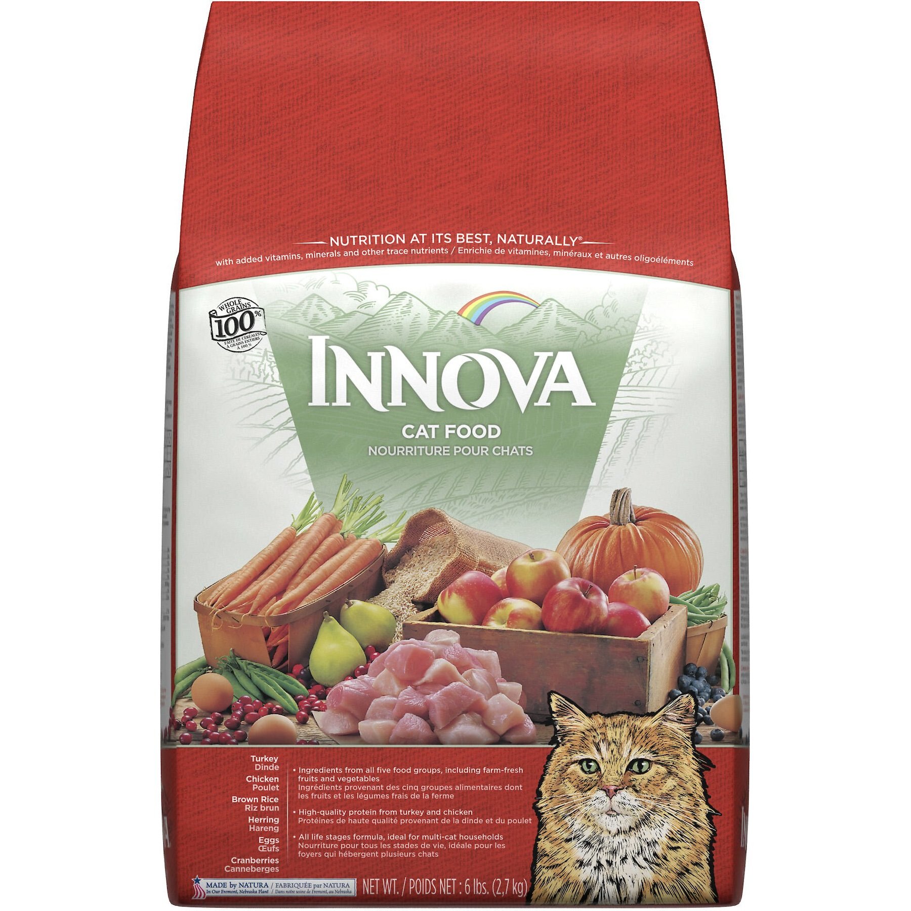 INNOVA Cat Kitten Dry Cat Food 6 lb bag Chewy