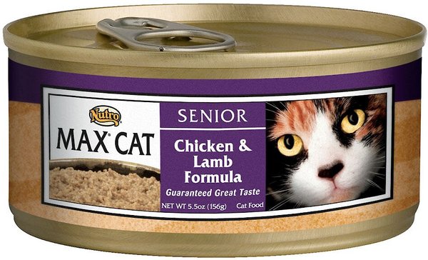 Nutro cat food senior best sale