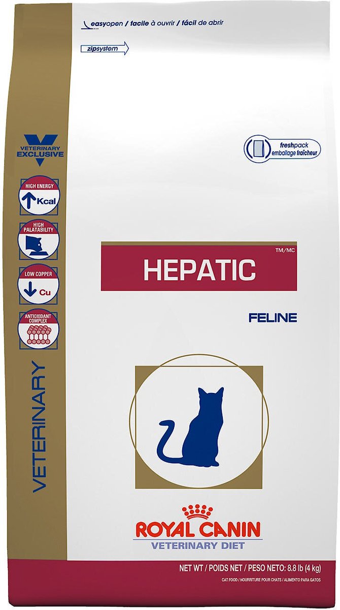 royal hepatic cat