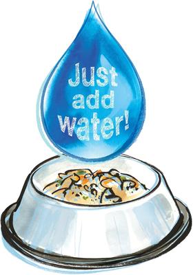 Show full view: The Honest Kitchen Perfect Form Herbal Digestive Dog & Cat Supplement, 5.5-oz jar slide 7 of 9