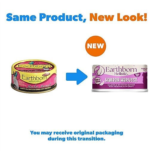 Earthborn Holistic Harbor Harvest Grain-Free Natural Canned Cat & Kitten Food, 5.5-oz, case of 24