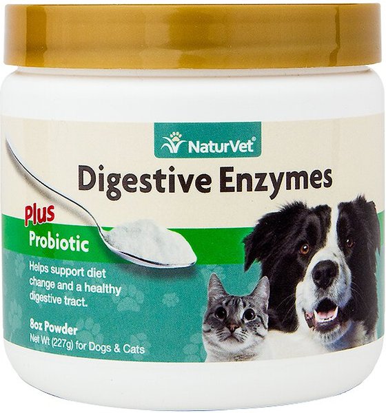 proteolytic enzymes for cats