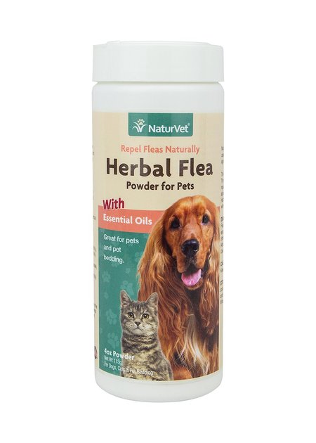 can cat flea powder be used on dogs