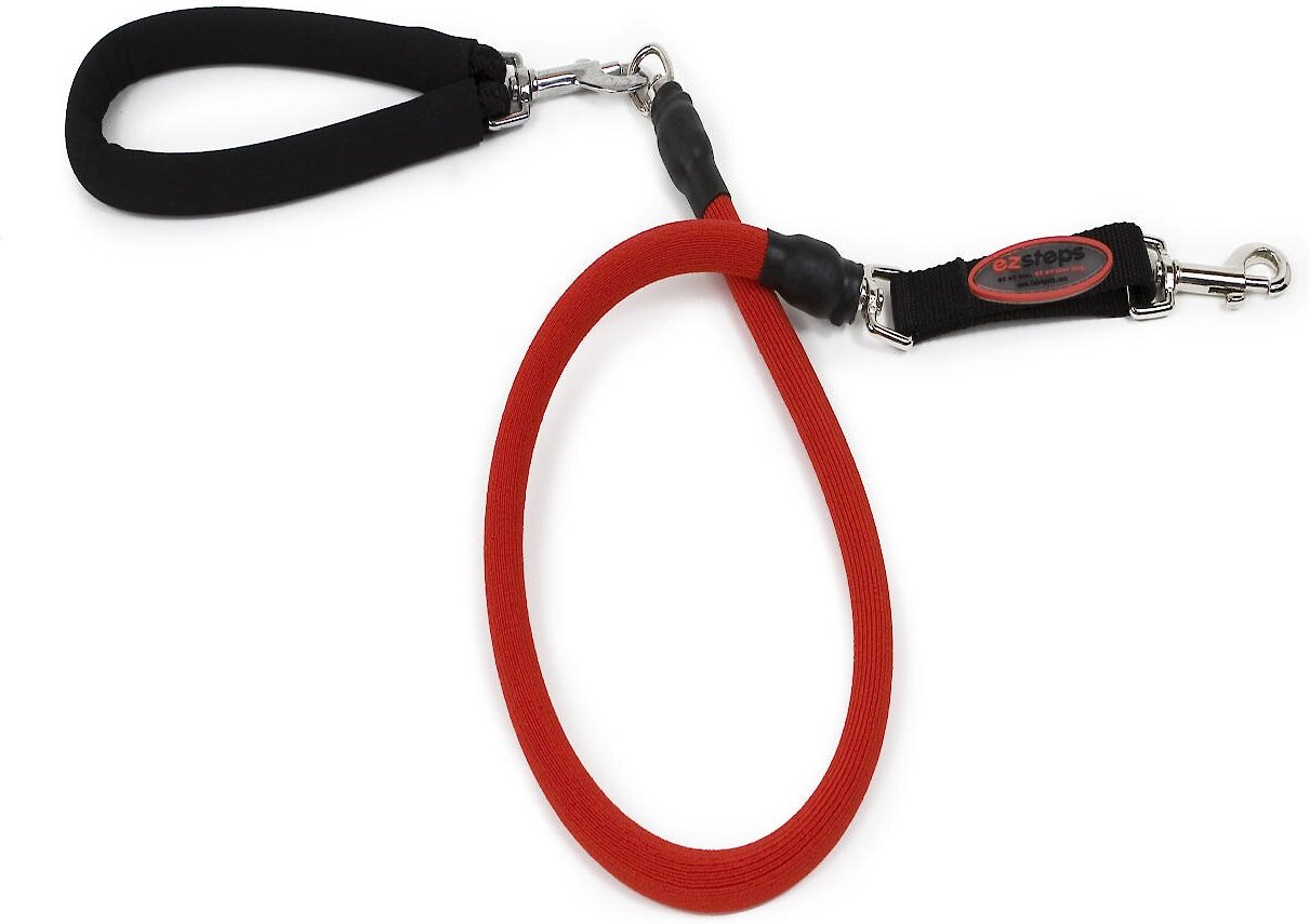 ez steps leash